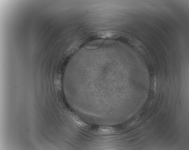 X0000080150510200612221952