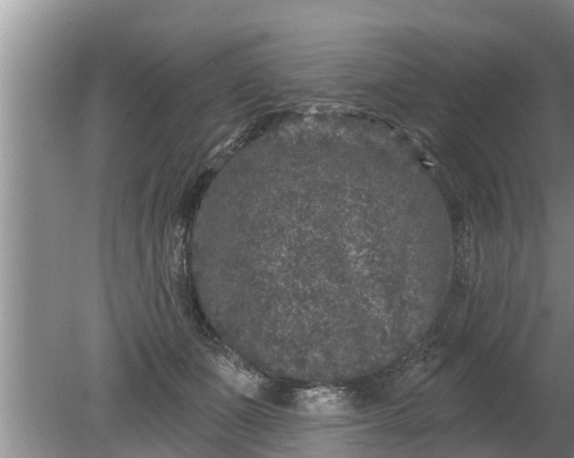 X0000080150511200612221952