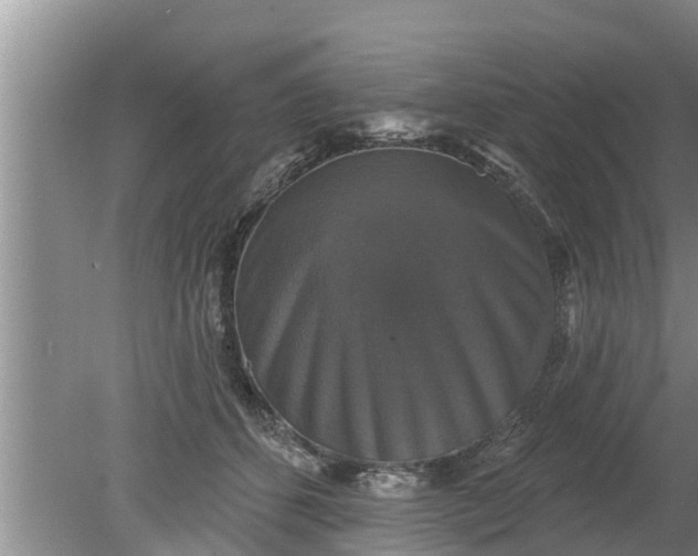 X0000080150512200612221952