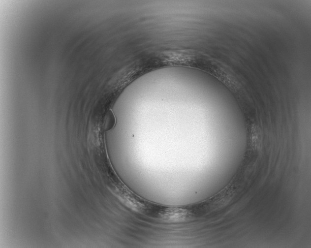 X0000080150514200612221952