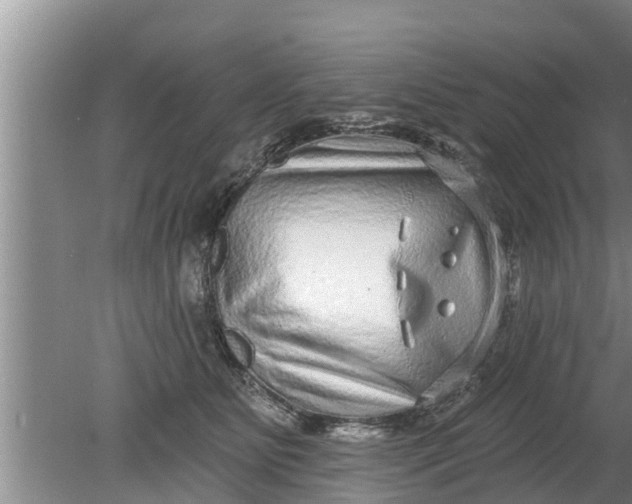 X0000080150515200612221952