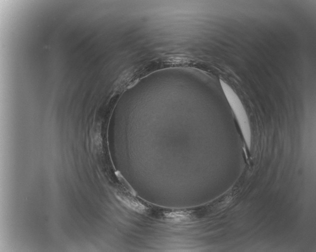 X0000080150516200612221952