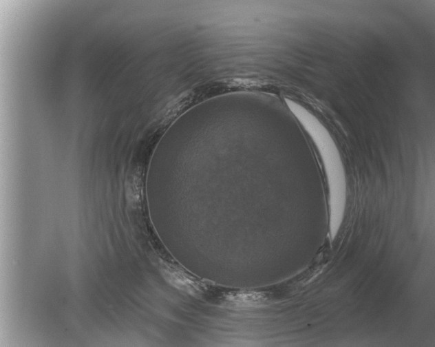 X0000080150517200612221952