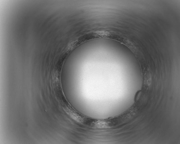 X0000080150518200612221952