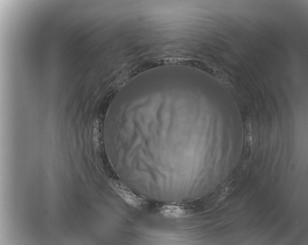 X0000080150519200612221952