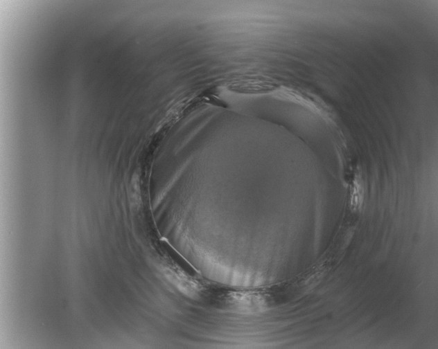 X0000080150520200612221952