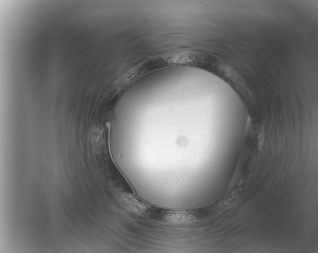 X0000080150521200612221952