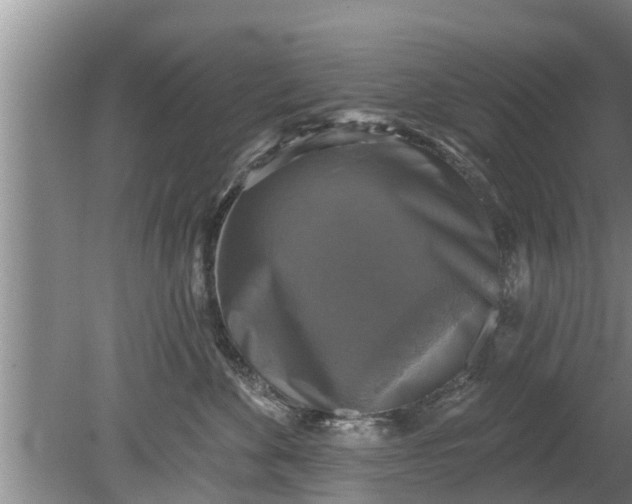 X0000080150524200612221952