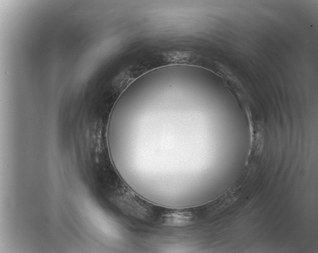 X0000080150525200612221952