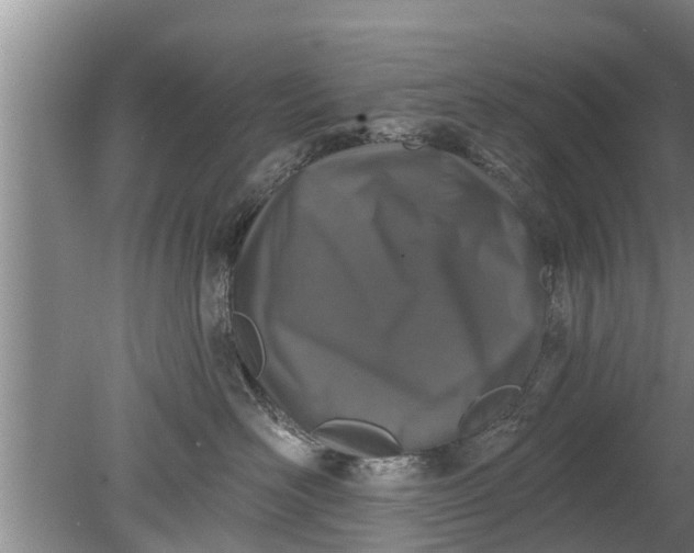 X0000080150526200612221952