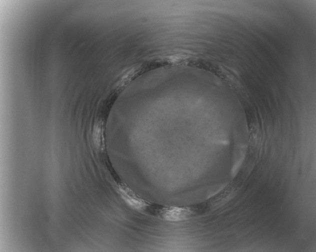 X0000080150527200612221952