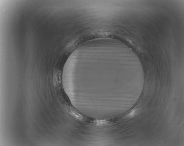 X0000080150528200612221952