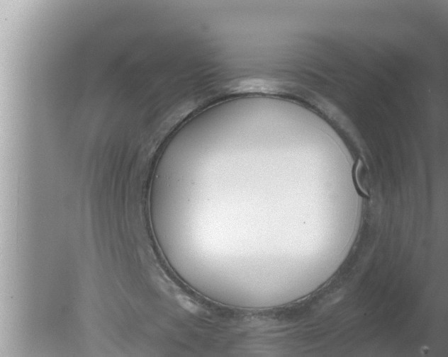 X0000080150529200612221951