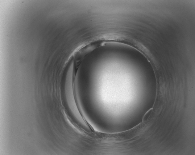 X0000080150530200612221951