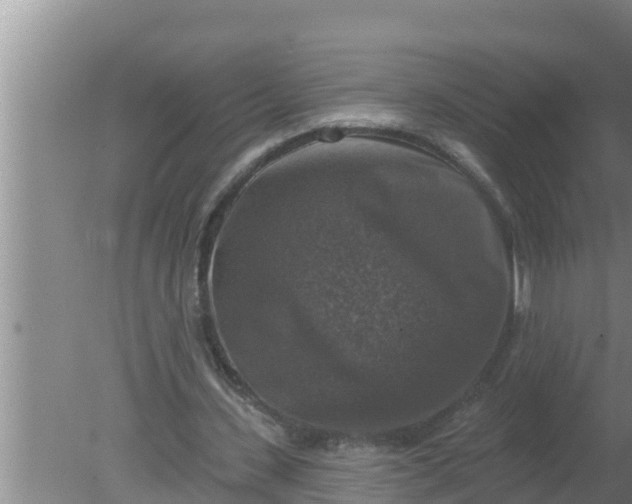 X0000080150531200612221951