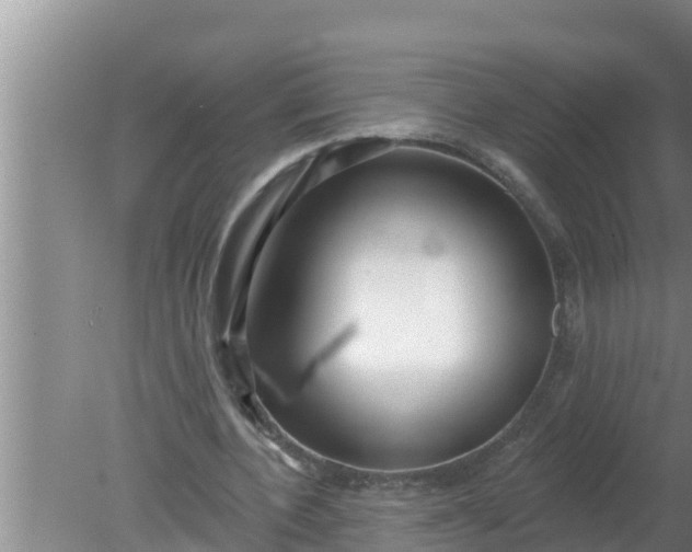 X0000080150532200612221951