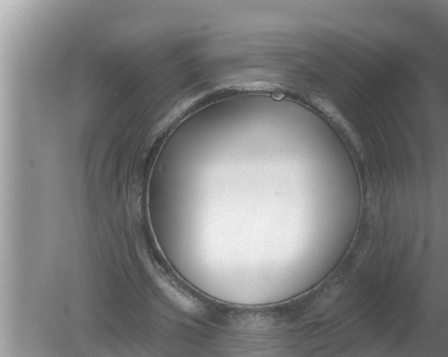 X0000080150533200612221951