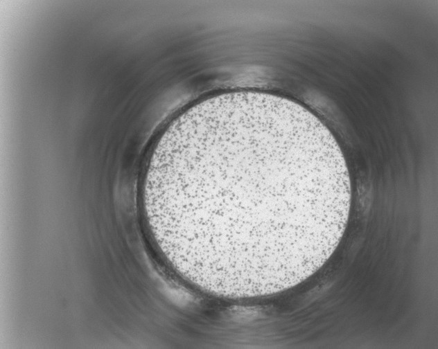 X0000080150534200612221951