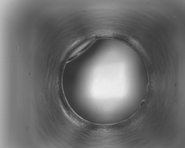 X0000080150538200612221951