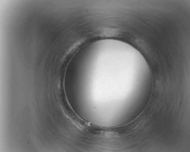 X0000080150539200612221951