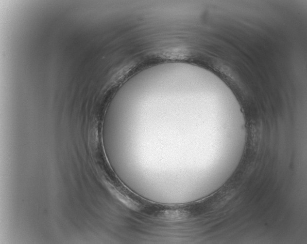 X0000080150541200612221951