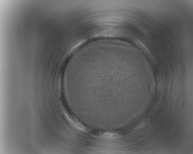 X0000080150542200612221951