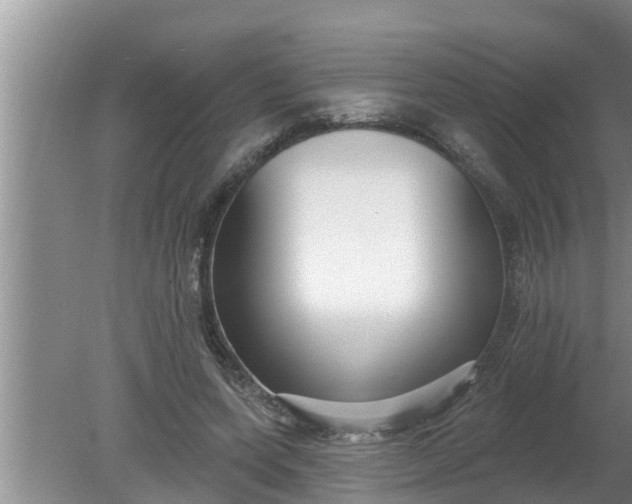 X0000080150543200612221951