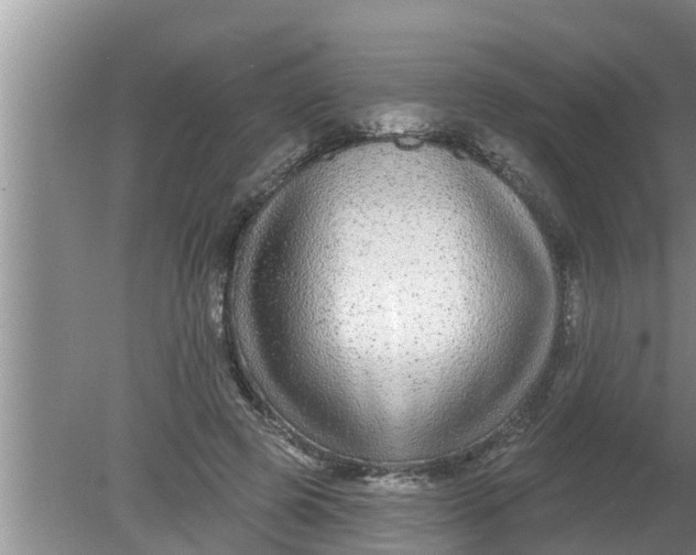 X0000080150545200612221952