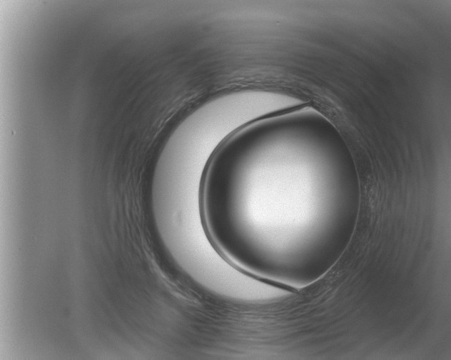 X0000080150546200612221952