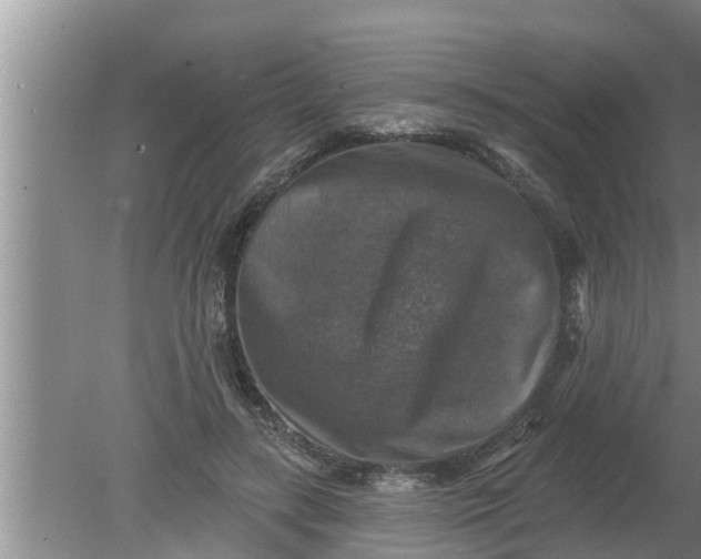 X0000080150547200612221952