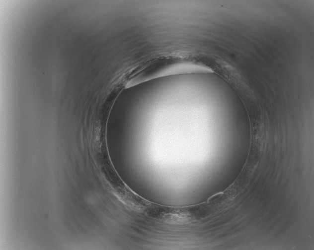 X0000080150548200612221952