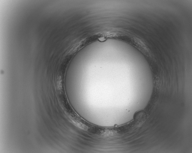 X0000080150549200612221952