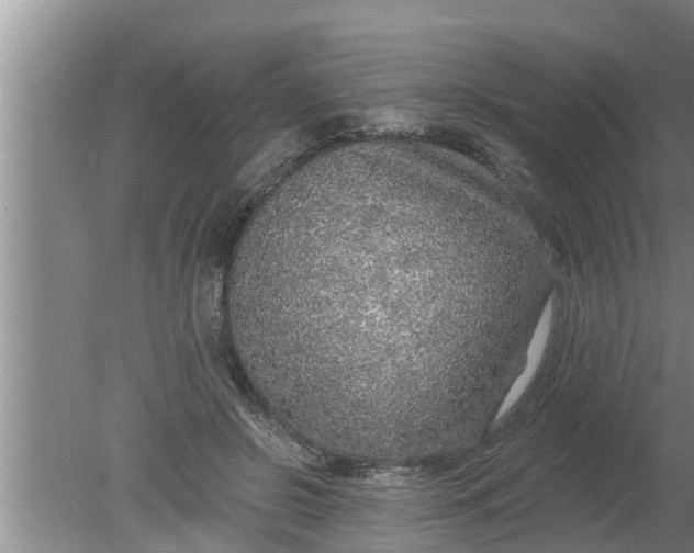 X0000080150550200612221952