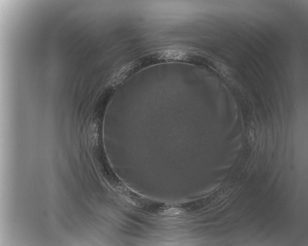 X0000080150551200612221952