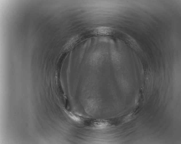 X0000080150552200612221952