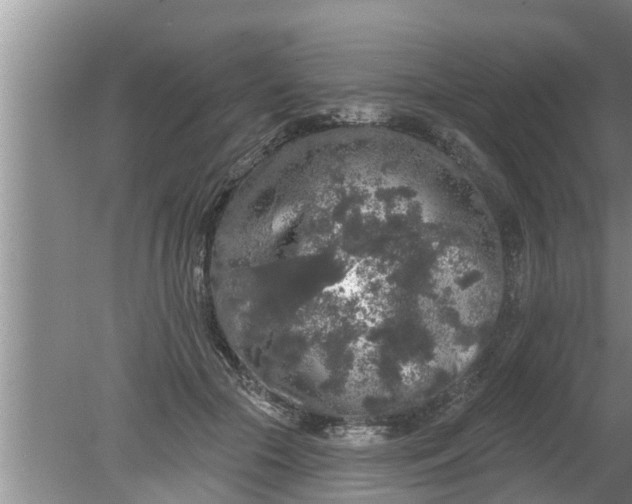 X0000080150553200612221952