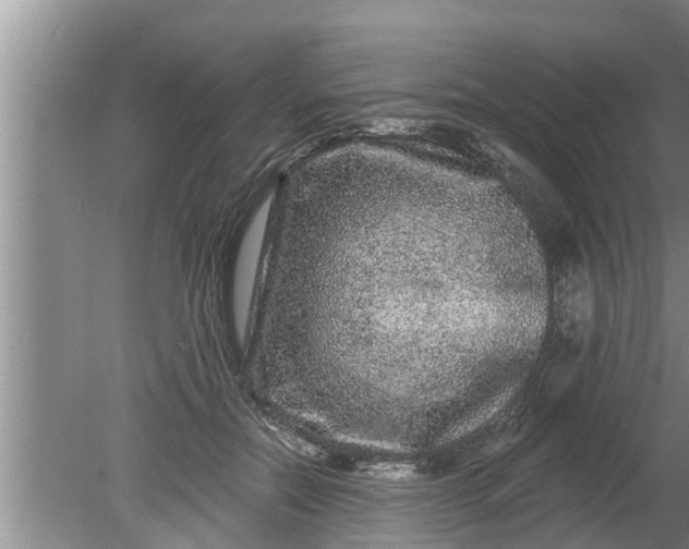 X0000080150554200612221952