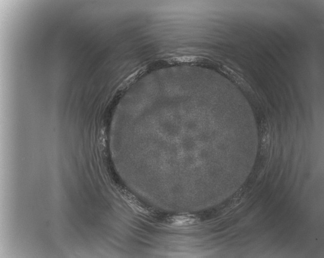 X0000080150555200612221952