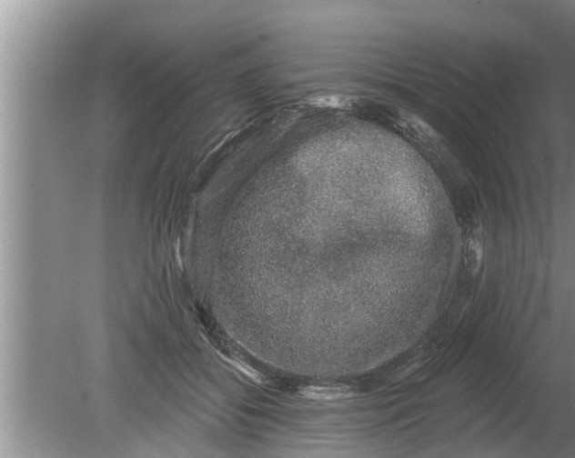 X0000080150556200612221952