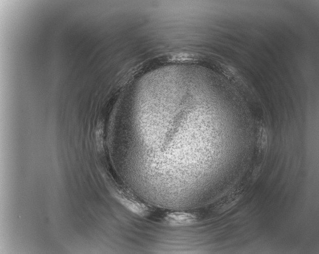 X0000080150557200612221952