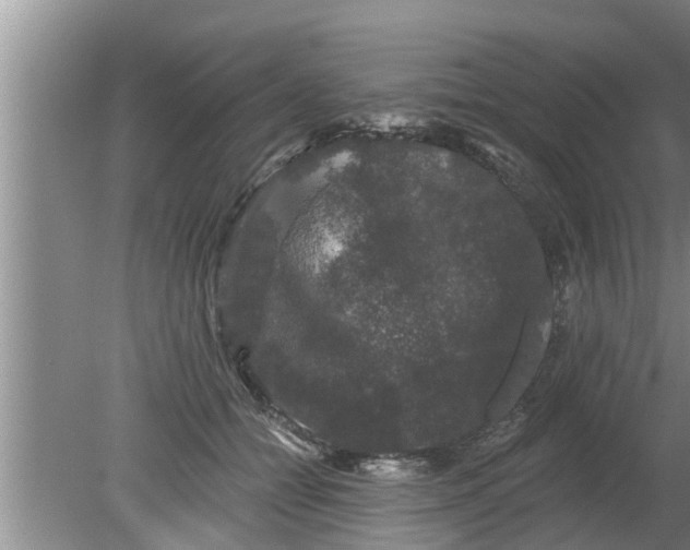 X0000080150558200612221952