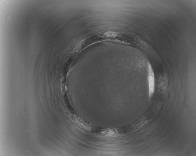 X0000080150559200612221952