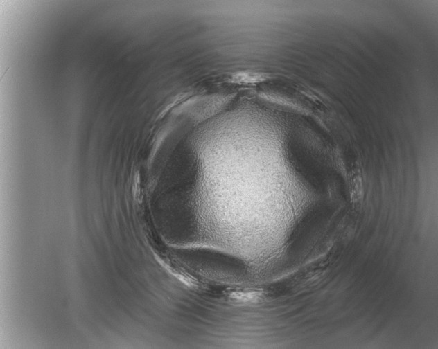 X0000080150560200612221952