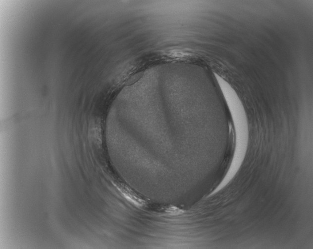 X0000080150562200612221952