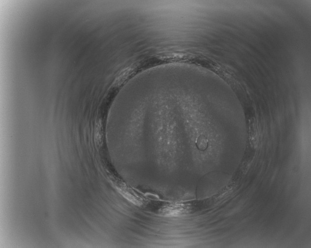 X0000080150563200612221952