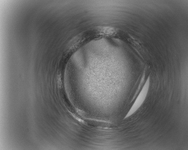 X0000080150564200612221952