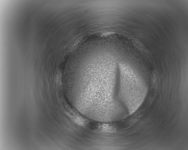 X0000080150565200612221952