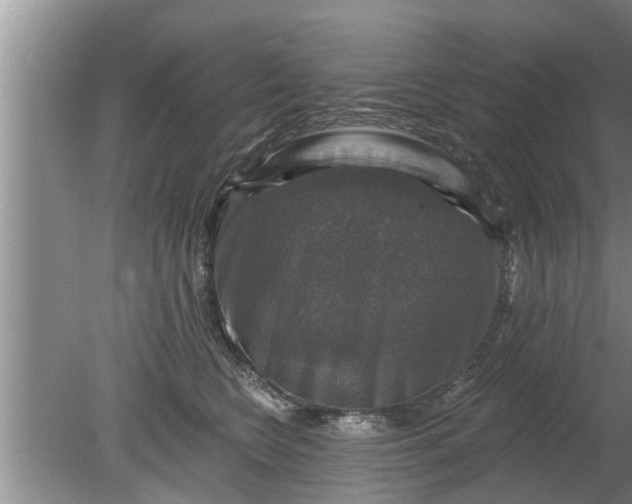 X0000080150566200612221952