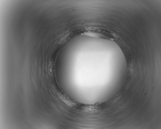 X0000080150567200612221952