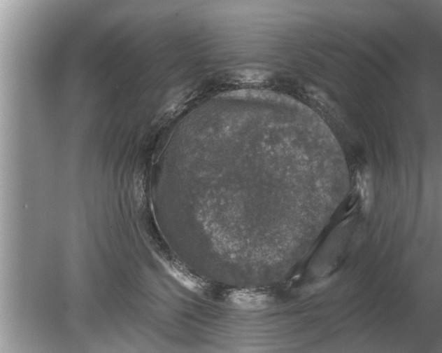 X0000080150568200612221952